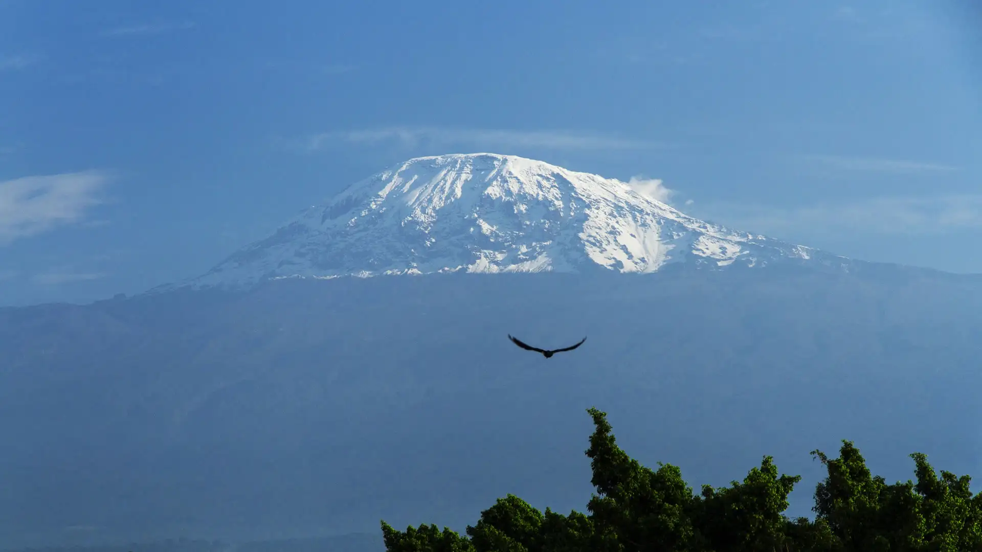 8-Day Lemosho Route – Kilimanjaro Trekking