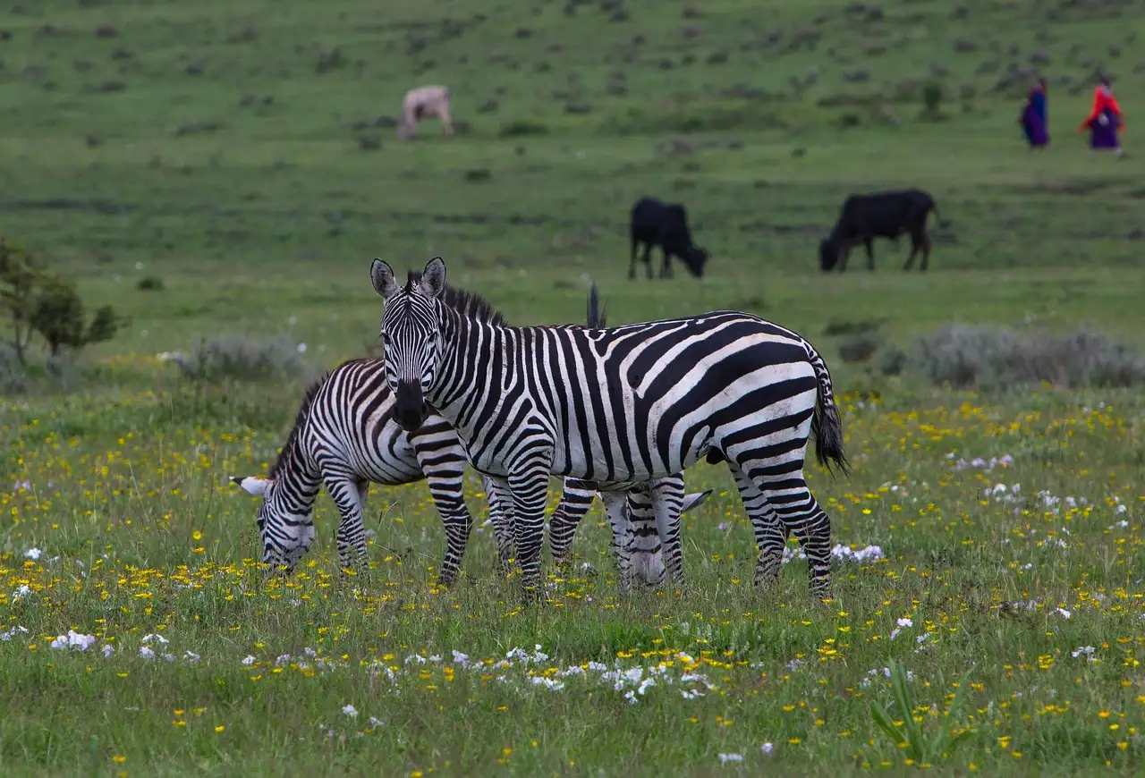 10-Day From Bush to Zanzibar Beach Safari combo